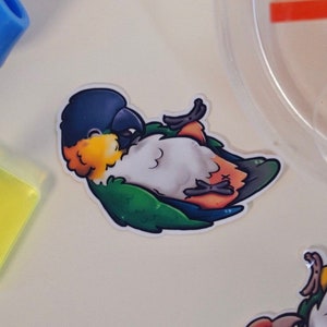 Black Headed Caique sticker - premium waterproof die cut vinyl sticker | Cute playful Parakeet | Parrot Bird Stationary gift