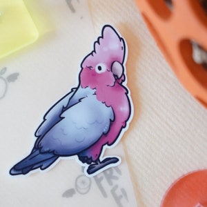 Pegatina de cacatúa galah/cacatúa de pecho rosado: vinilo troquelado de primera calidad resistente al agua, pájaro loro periquito adorable, regalo de papelería, color rosa