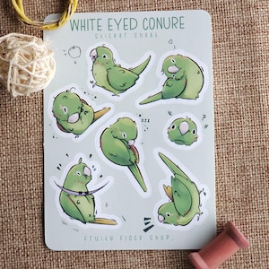 Hoja de calcomanías de conure de ojos blancos: calcomanía de vinilo mate de primera calidad / Periquito / Pájaro lindo Regalo fijo
