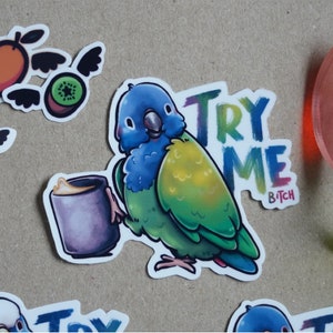 Try Me Bitch cheeky Blue Headed Pionus sticker - premium waterproof die cut vinyl sticker | Cute Small Parakeet Parrot Bird Stationary gift