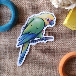 Jenday Conure - premium waterproof die cut vinyl sticker | Cute bird Parrot parakeet Sticker | Stationary gift
