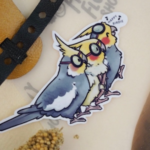 Könnte beinhalten: Drei Cartoon-Nymphensittiche, die Fliegerbrillen tragen und singen. Die Nymphensittiche sind gelb und grau mit schwarzen Augen. Der Aufkleber trägt den Text "Happy Birdie" mit Noten.