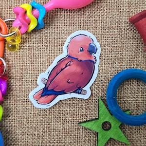 Eclectus Parrot (femelle) - sticker vinyle imperméable premium | Cadeau stationnaire mignon d'oiseau de perroquet de Nouvelle-Guinée australie
