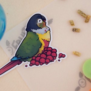 Yellow Sided Green-Cheeked Conure - premium waterproof die cut vinyl sticker | Cute bird sticker | Parrot parakeet Stationary gift |