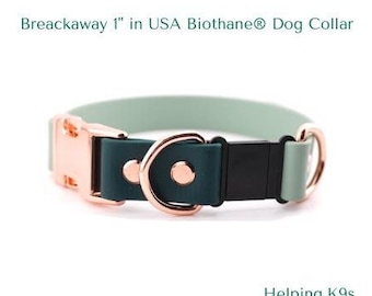 Breakaway BioThane 1" in Dog Collar: Custom Waterproof Quick Release, Brass Hardware