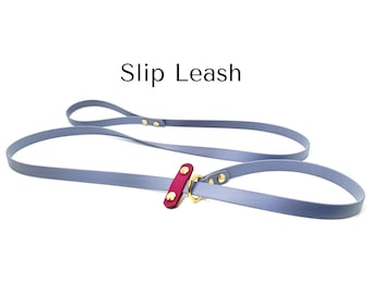 Waterproof BioThane Slip Dog Leash: Custom Two-Tone Design