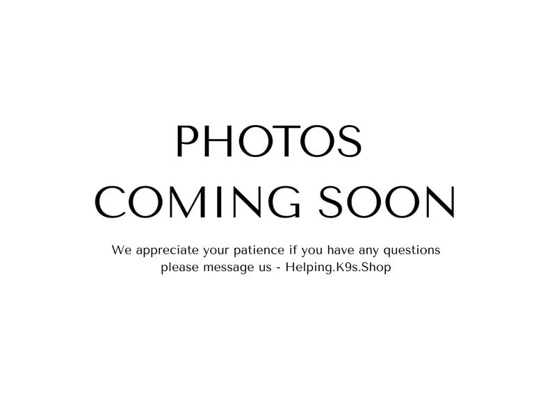 Biothane Service Dog Pull Strap: Waterproof Custom Handle, Strong Brass Hardware image 2