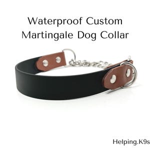 Zweifarbiges Marartigale Wasserdichtes Hundehalsband, USA BioThane Hundehalsband, Edelstahl und Messing-Hardwares