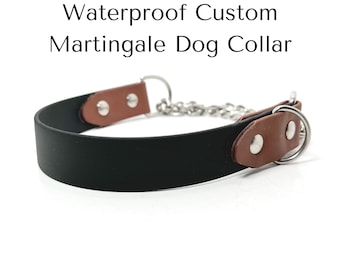 Two-Tone Waterproof BioThane Martingale Dog Collar 1" in: Custom Fit, Stainless Steel & Brass