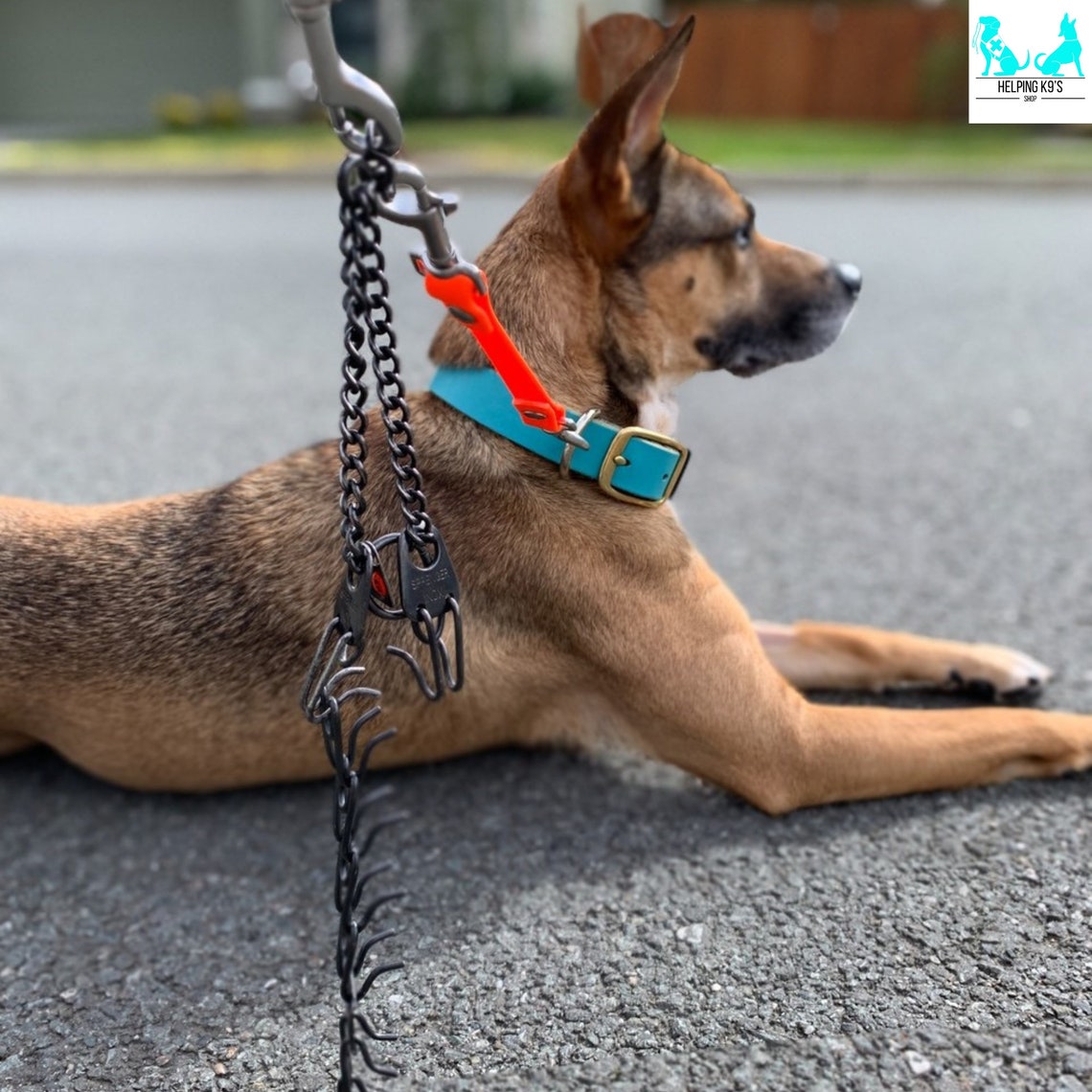 Prong Catch Prong Collar Safety Clip Harness Catch Backup Etsy