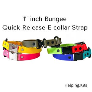 1&quot; inch Quick Release Bungee E collar, USA BioThane, for Dogtra, Garmin, E collar Technologies and more
