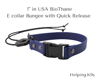 Waterproof BioThane E-Collar 1" in: Bungee Dog Collar for Dogtra, Garmin