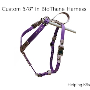 Personalized 5/8 Inch Biothane ® Waterproof Dog Harness Handmade Custom fit for your dog