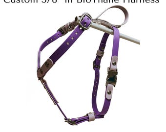 Personalized 5/8 Inch Biothane ® Waterproof Dog Harness Handmade Custom fit for your dog