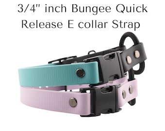 3/4" BioThane Bungee Halsband: Wasserdichtes Hundehalsband mit Schnellverschluss