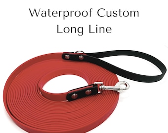 Waterproof BioThane Dog Leash: Long Training Lead with Brass Hardware