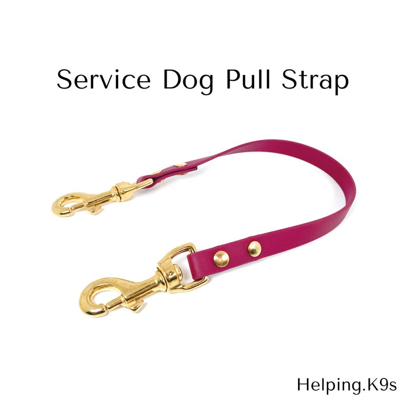 Biothane Service Dog Pull Strap: Waterproof Custom Handle, Strong Brass Hardware image 1