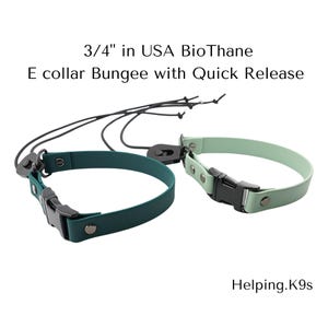 E collar Bungee Collar with Quick Release Buckle, Fits 3/4&quot; inch for Dogtra, Garmin, E collar Technologies, Waterproof Collar, USA BioThane