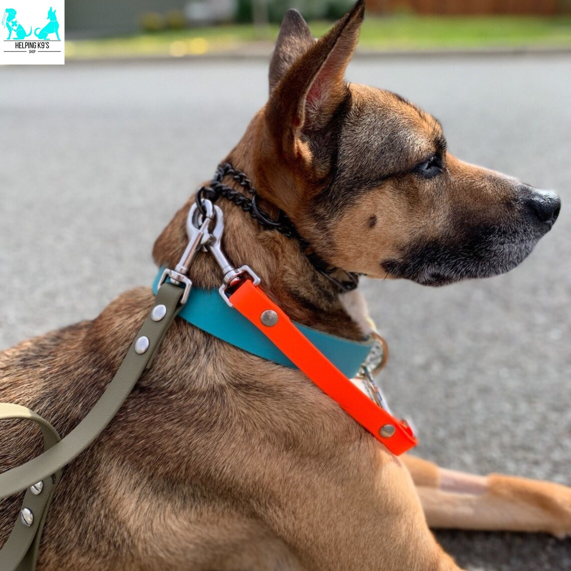 Prong Catch Prong Collar Safety Clip Harness Catch Backup Etsy