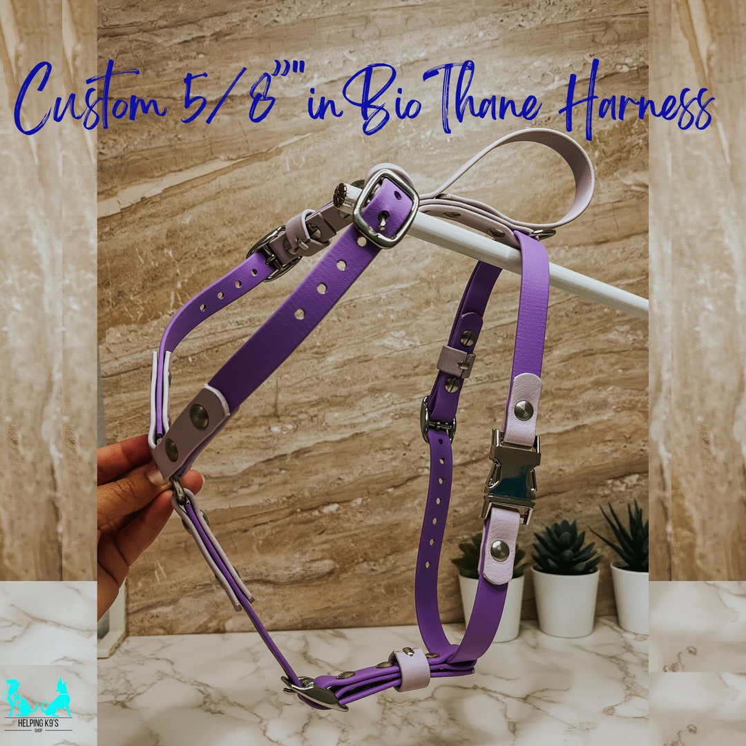 Custom 5/8 in USA Biothane Harness, Waterproof, Multipurpose Dog