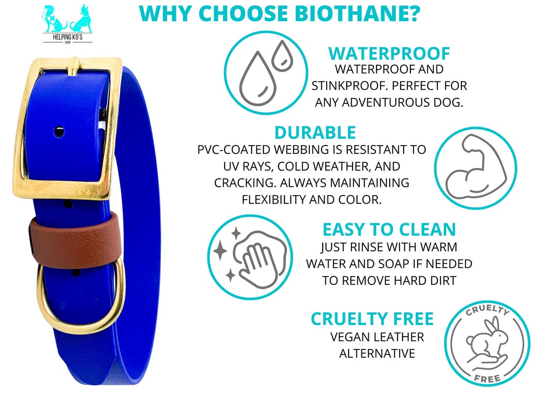 Prong Catch Prong Collar Safety Clip Harness Catch Backup Etsy