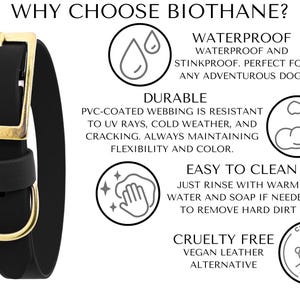 Biothane Service Dog Pull Strap: Waterproof Custom Handle, Strong Brass Hardware image 5