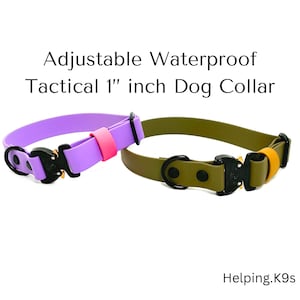 Adjustable Waterproof Tactical 1” inch Dog Collar COBRA Buckle Dog Collar