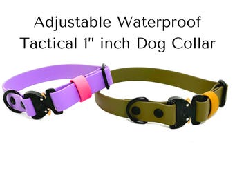 Collier pour chien tactique imperméable réglable de 2,5 cm (1 po.) Collier pour chien avec boucle COBRA