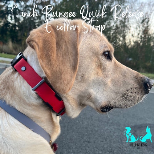 3/4 Inch Quick Release Bungee E Collar USA Biothane Etsy