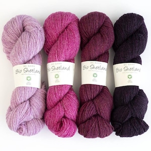 BC Garn BIO SHETLAND gots 280 m/50g pura lana vergine per lavorare a maglia, uncinetto, scialli, maglioni, sciarpe, scegli il colore, senza mulesing, fairisle