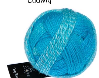 SCHOPPEL Crazy Boys 50g/250 m needle size 2 - 3 mm Merino soft scarves sweater scarf knitting crochet soft scarf hat sweater socks