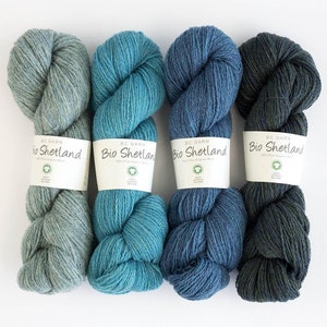 BC Garn BIO SHETLAND gots 280m/50g reine Schurwolle Stricken Häkeln Tücher Pulli Tücher Schal Farbe wählen mulesing-frei fairisle Bild 1