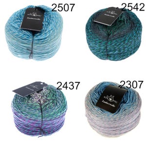 SCHOPPEL lana magica lana vergine Merino LL100g/250 m NS 3,0 - 4,0 mm morbida e calda lavorata a maglia uncinetto scialli sciarpe maglione filato sfumato colorato