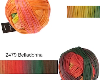 SCHOPPEL Gradient Virgin Wool Merino Length 100g/260 m NS 3.5-4.5 mm - Gradient Yarn Knitting Crochet Soft Skin-Friendly Scarf Sweater