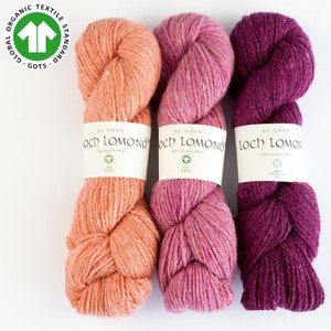 Filato BC LOCH LOMOND 100% pura lana vergine 150 m/50 g Ferri 4 - 5 mm Maglia Uncinetto Scialli Maglioni Scialli Sciarpa senza mulesing Gots