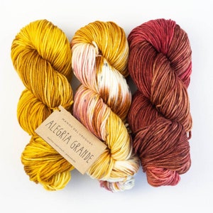 Manos del Uruguay ALEGRIA GRANDE hand-dyed Merino extrafine LL 180 m/100g virgin wool many colors to choose from knitting crochet