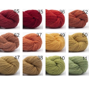 BC Garn BIO SHETLAND gots 280m/50g reine Schurwolle Stricken Häkeln Tücher Pulli Tücher Schal Farbe wählen mulesing-frei fairisle Bild 5