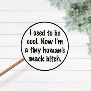 Solía ser genial Ahora soy un pequeño humano Snack Bitch Calcomanía de vinilo impermeable laminada térmica, regalo de mamá