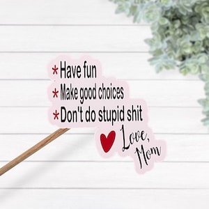 Have Fun Make Good Picks Don't Do Stupid Shit Love Mom wasserfester Vinyl Aufkleber, lustiger Aufkleber, Mom Aufkleber