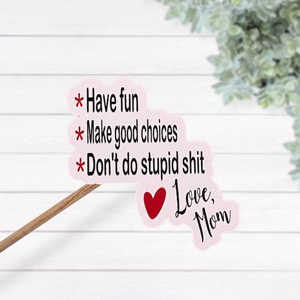 Have Fun Make Good Choices Don't Do Stupid Shit Love Mom Water Resistant Vinyl Sticker, Funny Sticker, Mom Sticker