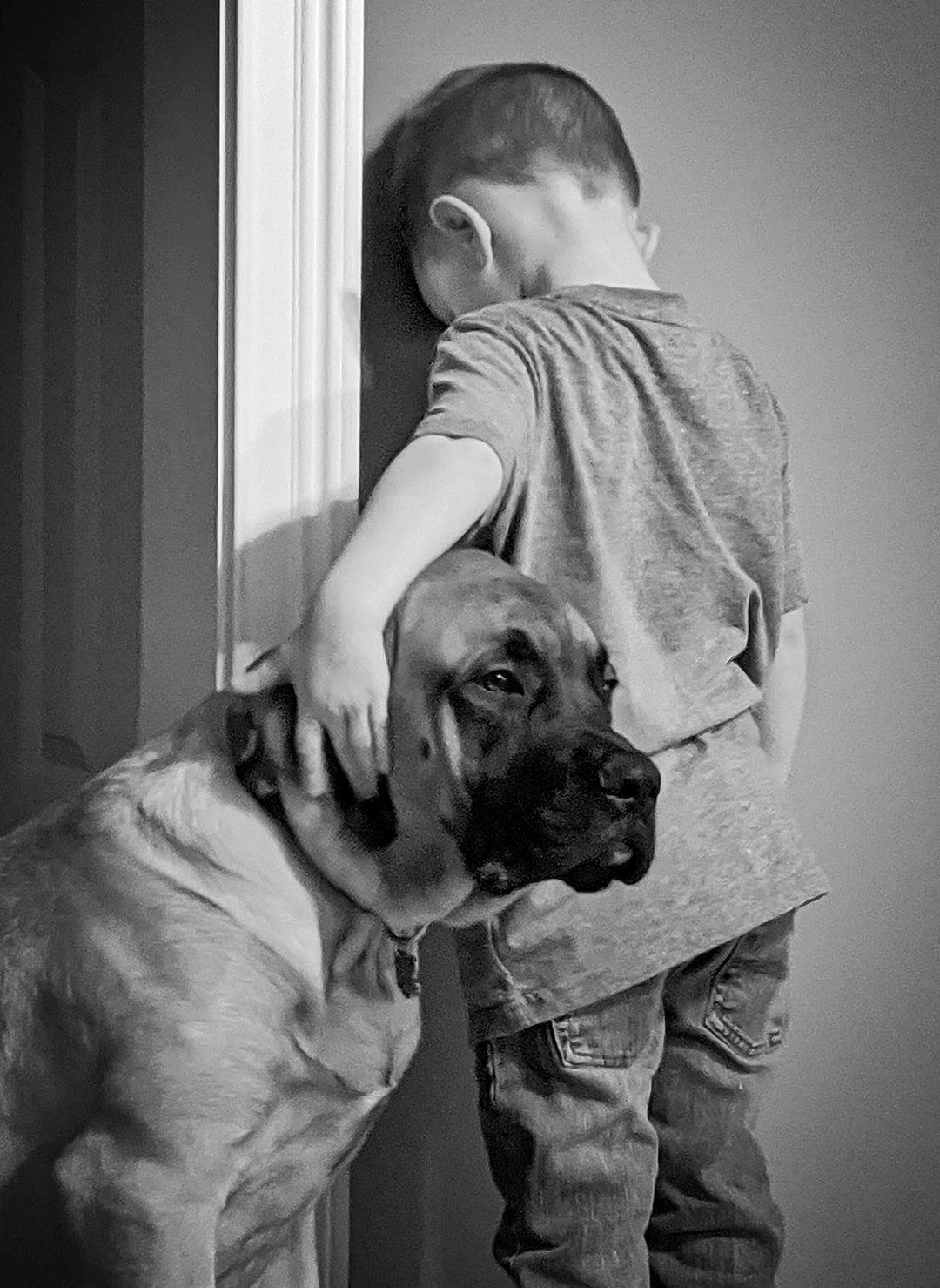 11x14 Print Dog and Boy in Time Out Photography Wall Art Etsy