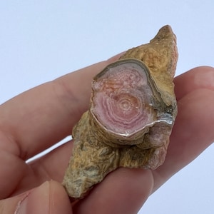 Rhodochrosite Stalactite from Argentina, 59g Rare Rhodochrosite Piece, Banded Polished Collectors Piece, Gemmy Rhodochrosite Specimen Slice