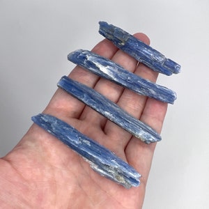 May include: Four blue kyanite crystal points, also known as blue kyanite sticks, are arranged in a row on a hand. The crystals are a light blue color and have a striated texture.