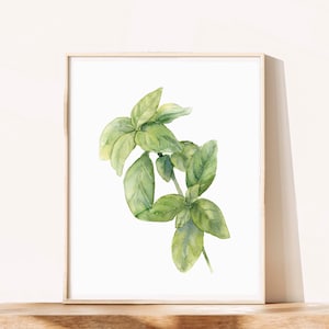 Basil Leaf Painting, Kitchen Herbs Watercolor Printable, Printable Wall Art, Digital Art Print