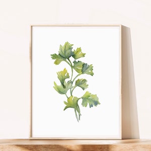 Kräuter Wandkunst, Petersilie Kräuter Poster, Aquarell druckbare Wandkunst, digitaler Download Kunstdruck, minimalistische Wandkunst, trendige Wandkunst,