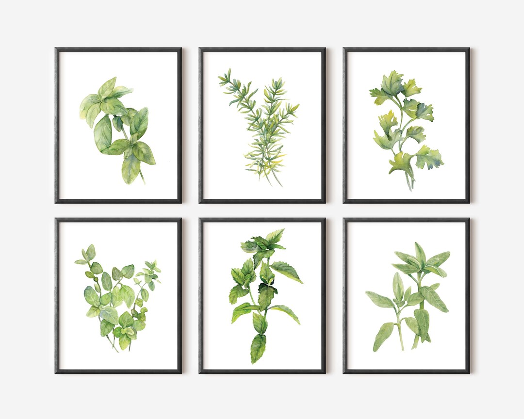 Wall Art Set of 6, Kitchen Herbs Printables, Botanical Print Set ...