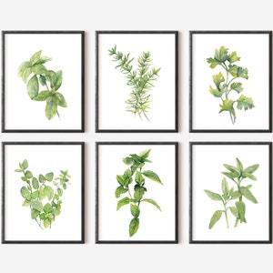 Wand Kunst 6er Set, Küchen Kräuter Printables, Botanischer Druck Set, Herunterladbare Kunstdrucke, Petersilie Salbei Rosmarin Basil Oregano Minze