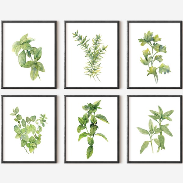 Herb Print - Etsy