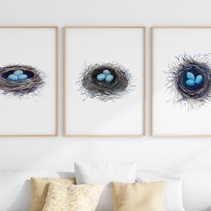 Bird Nest Print Set, 3 Piece Wall Art, Printable Watercolor Birds Nest, Robins Eggs Print Set, Above Bed Art, Bird Lover Gift, Spring Decor