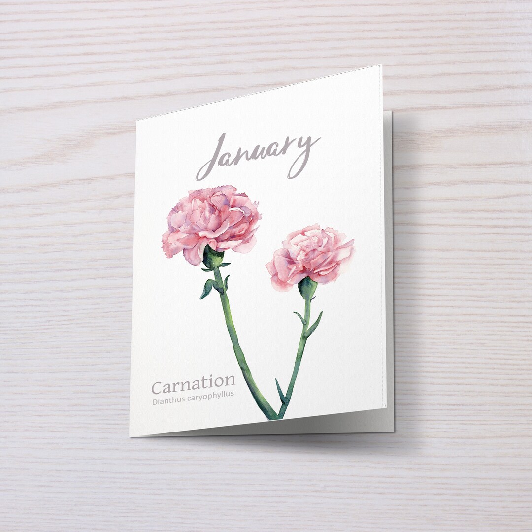 January Birthday Card, Birth Month Flower Greeting Card, Carnations ...